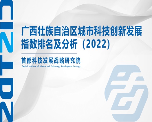 嫩逼肏观看【成果发布】广西壮族自治区城市科技创新发展指数排名及分析（2022）